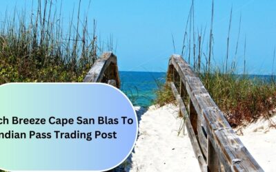 Beach Breeze Cape San Blas To Indian Pass Trading Post