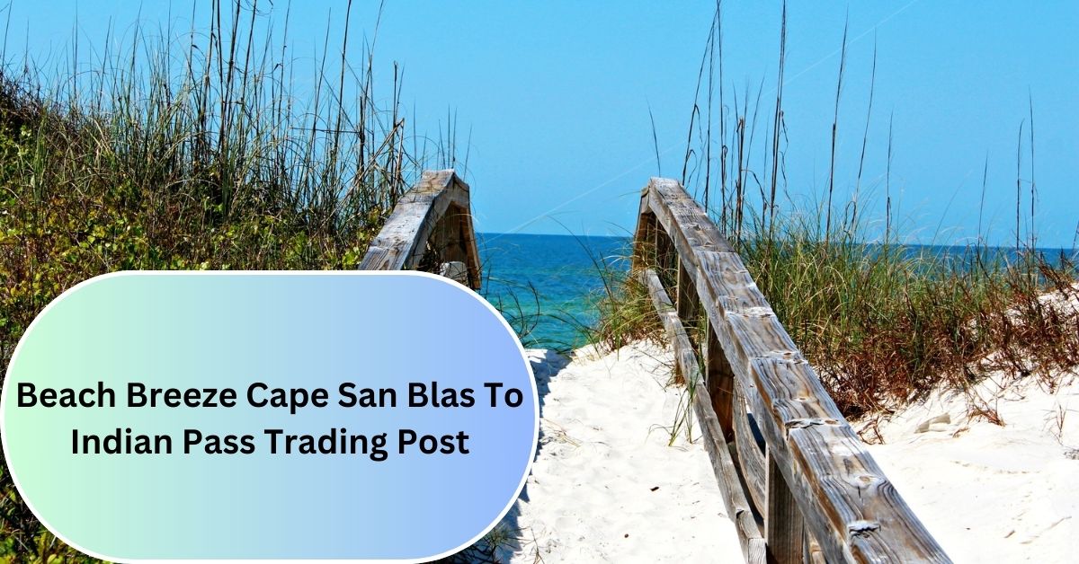 Beach Breeze Cape San Blas To Indian Pass Trading Post