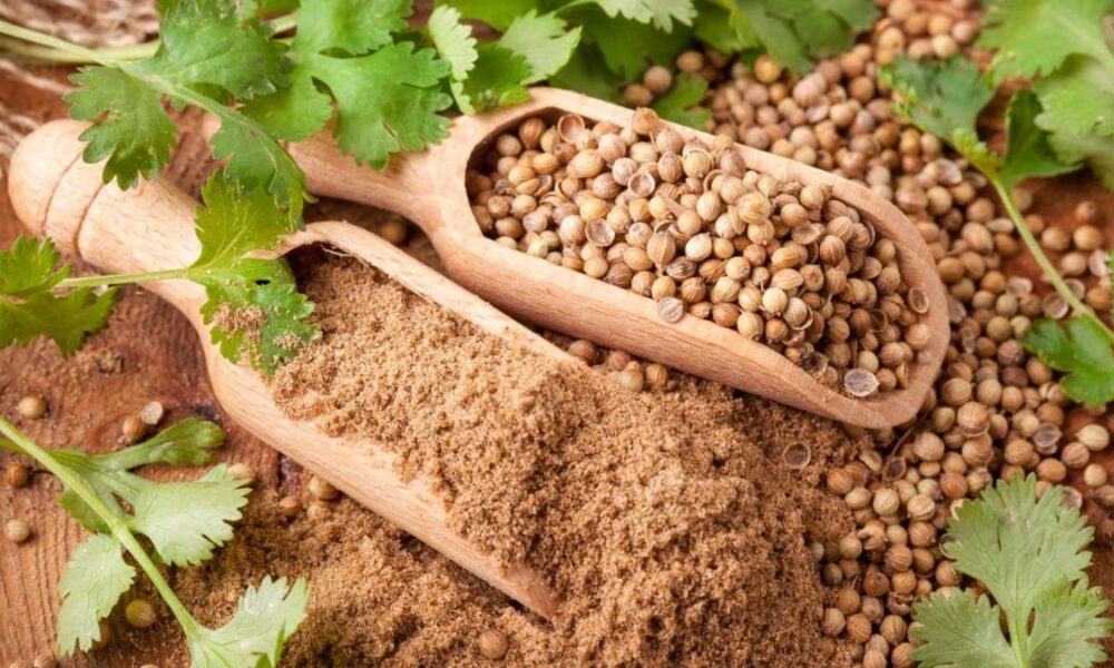 The Emotional Connection People Have With Koriandri